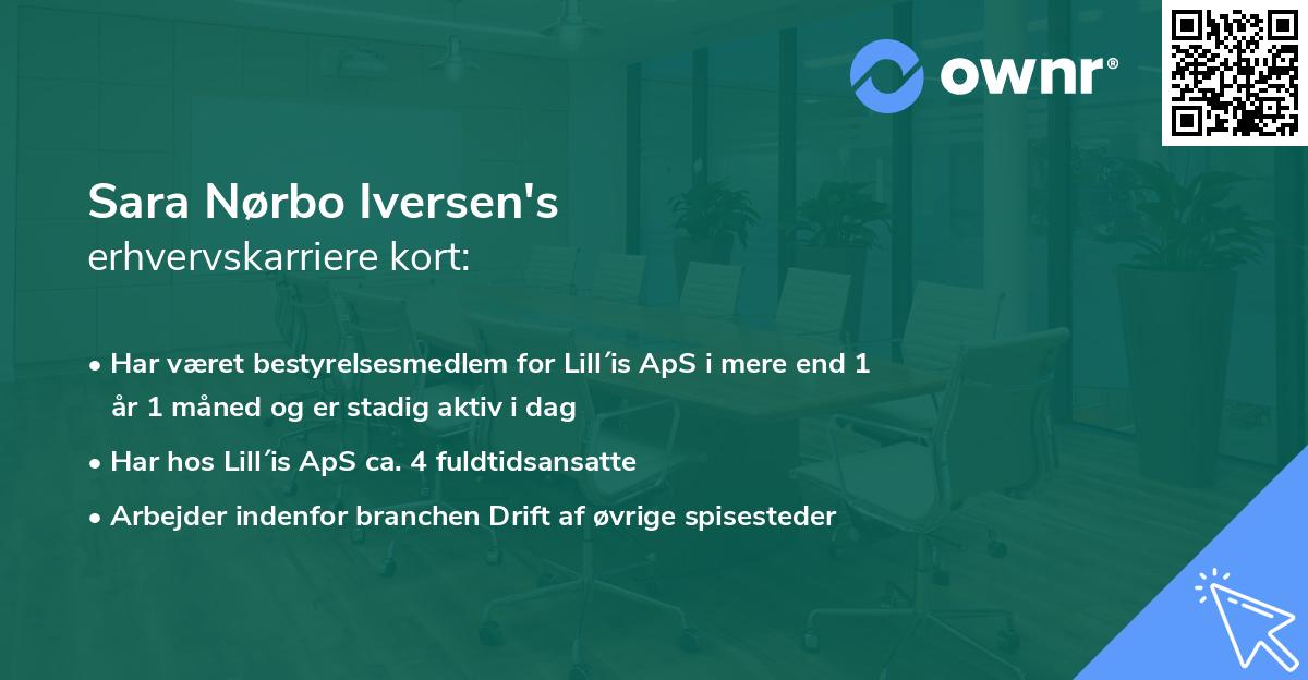 Sara Nørbo Iversen's erhvervskarriere kort
