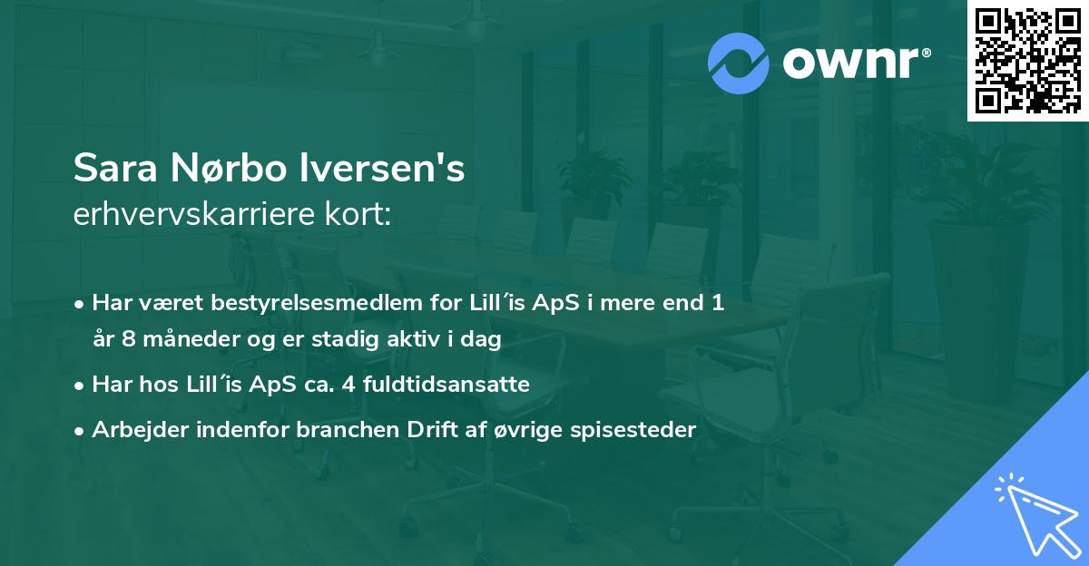 Sara Nørbo Iversen's erhvervskarriere kort