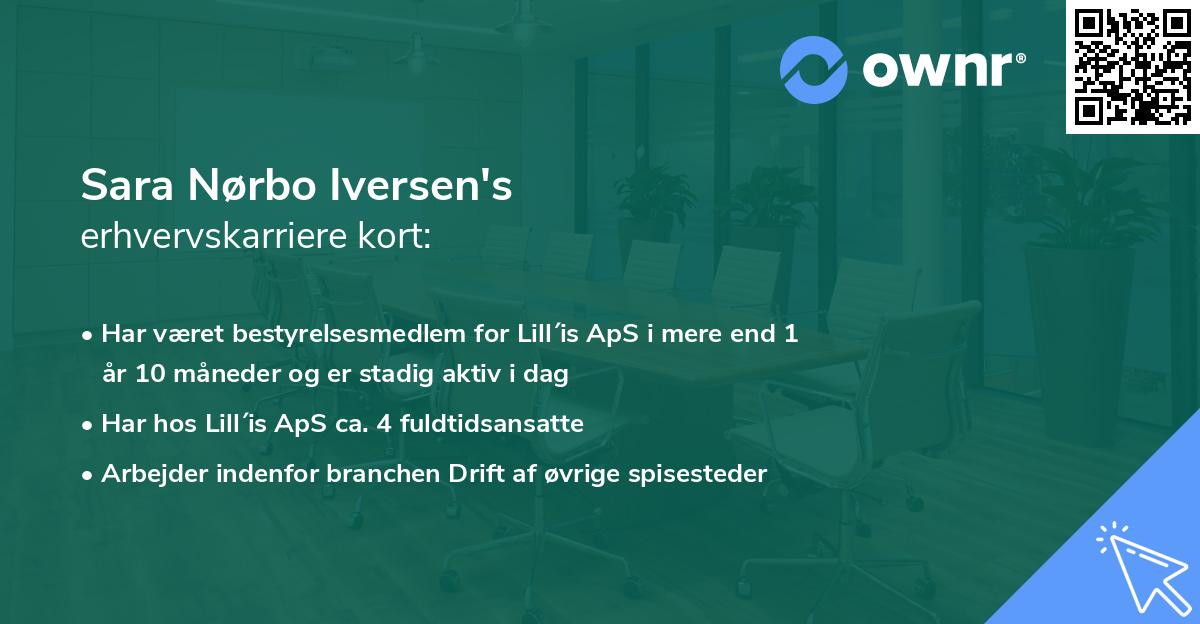 Sara Nørbo Iversen's erhvervskarriere kort