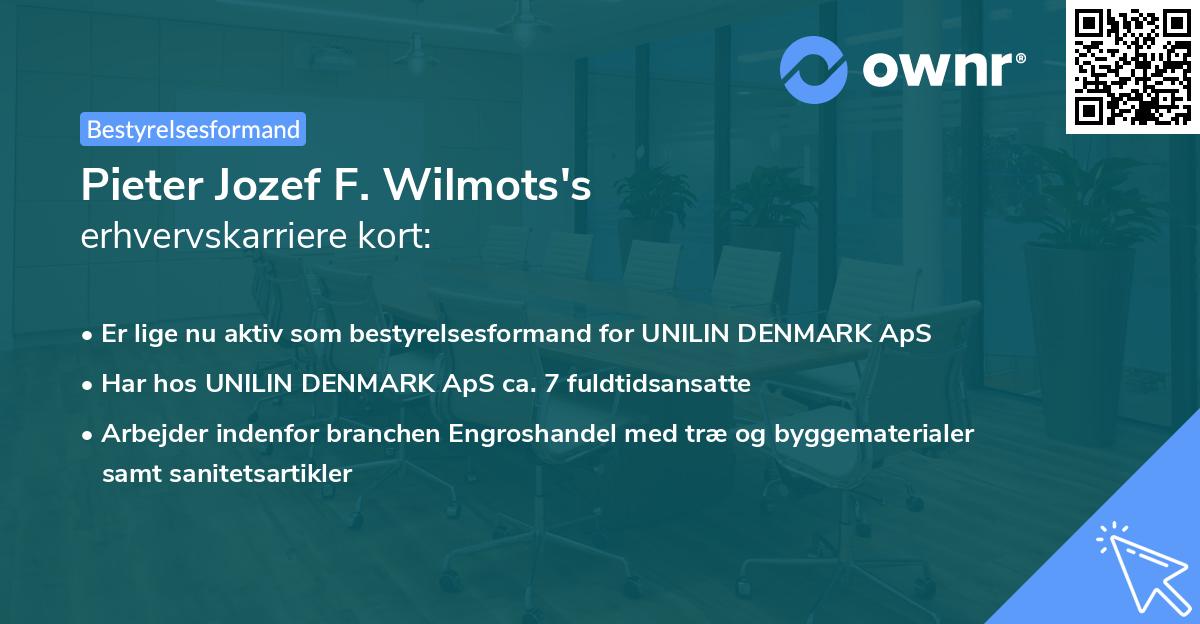 Pieter Jozef F. Wilmots's erhvervskarriere kort