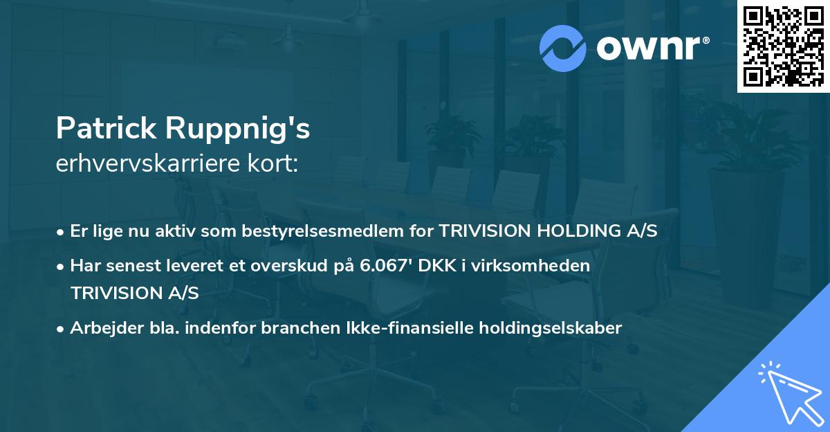 Patrick Ruppnig's erhvervskarriere kort