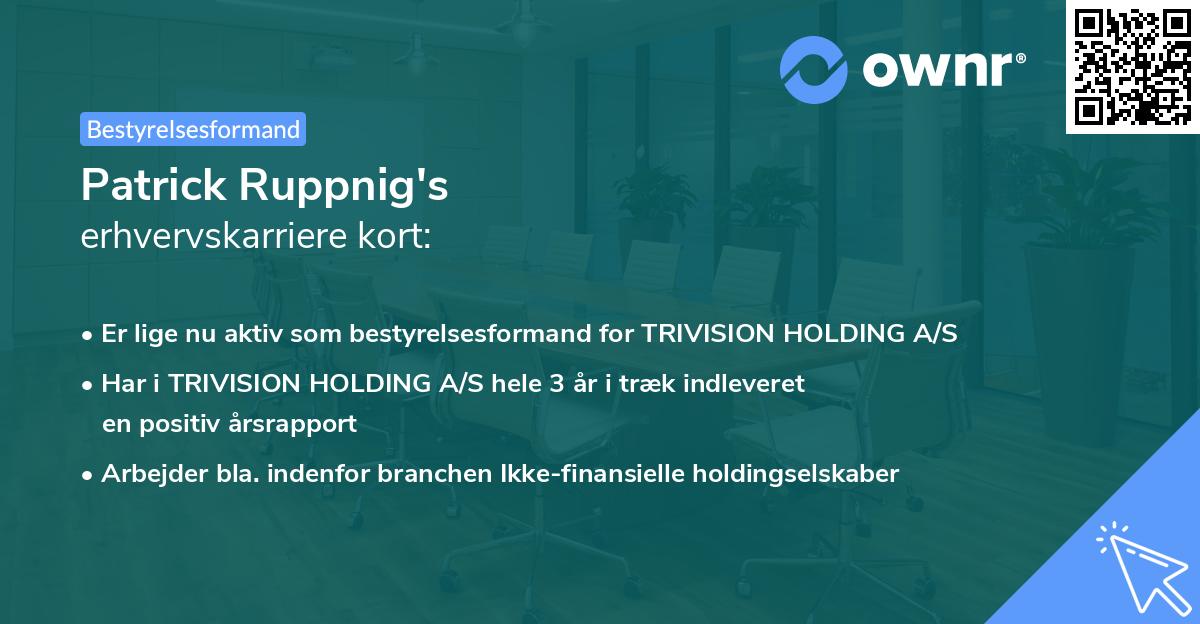 Patrick Ruppnig's erhvervskarriere kort
