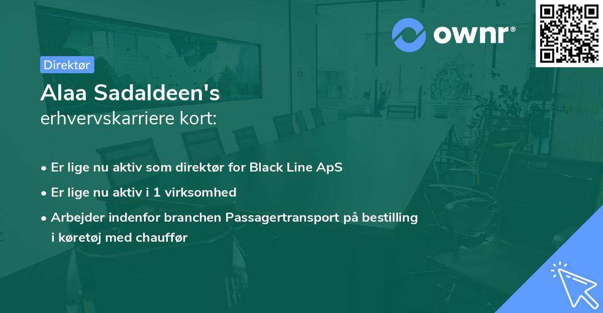 Alaa Sadaldeen's erhvervskarriere kort