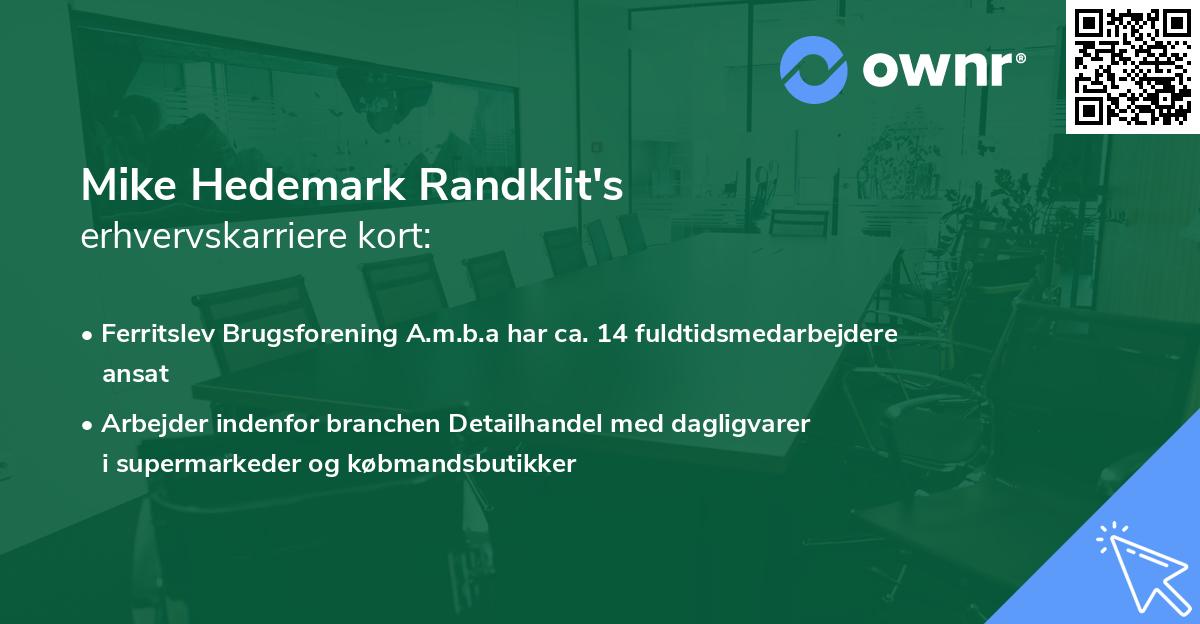 Mike Hedemark Randklit's erhvervskarriere kort