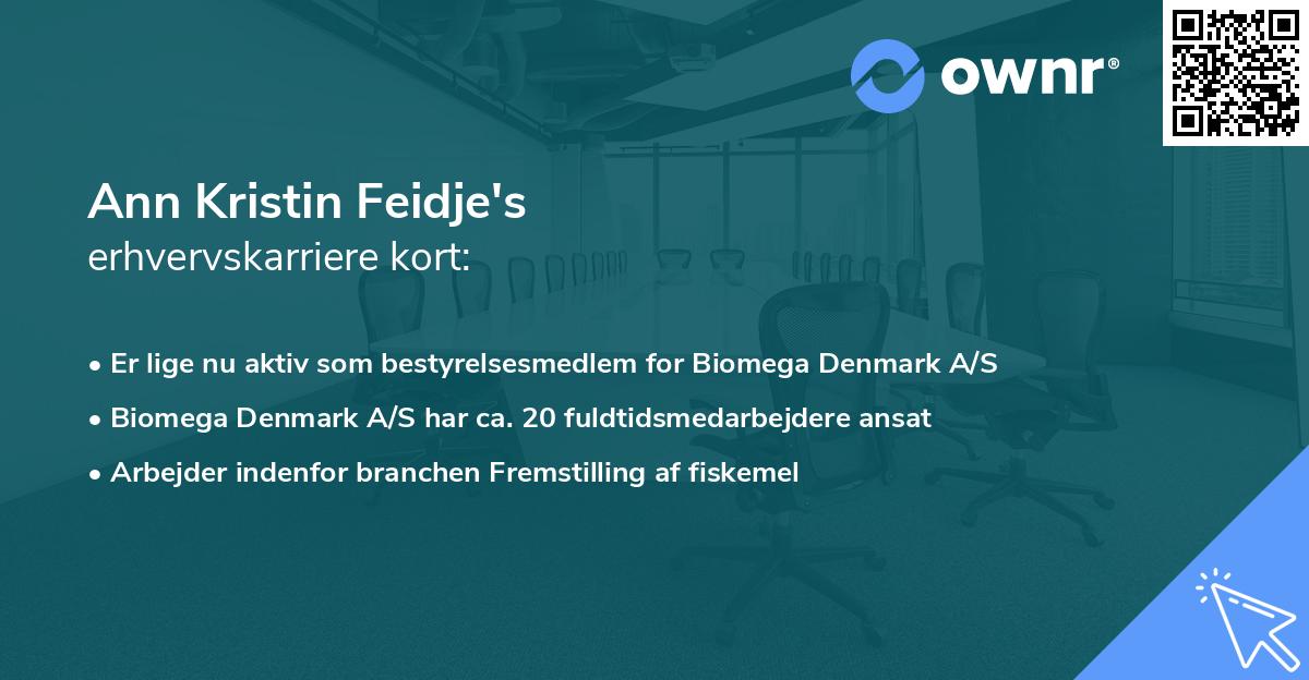 Ann Kristin Feidje's erhvervskarriere kort