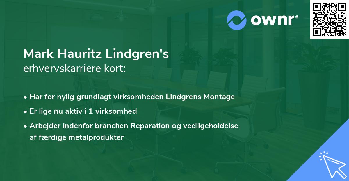 Mark Hauritz Lindgren's erhvervskarriere kort