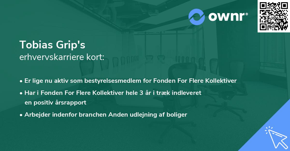Tobias Grip's erhvervskarriere kort