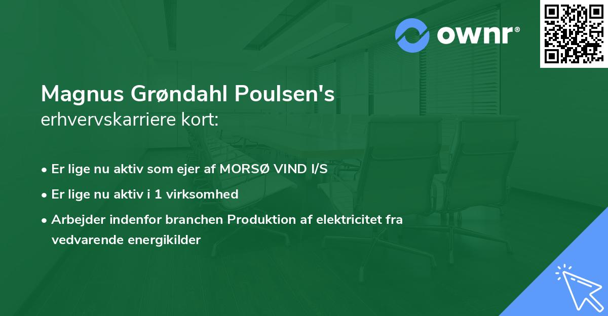 Magnus Grøndahl Poulsen's erhvervskarriere kort