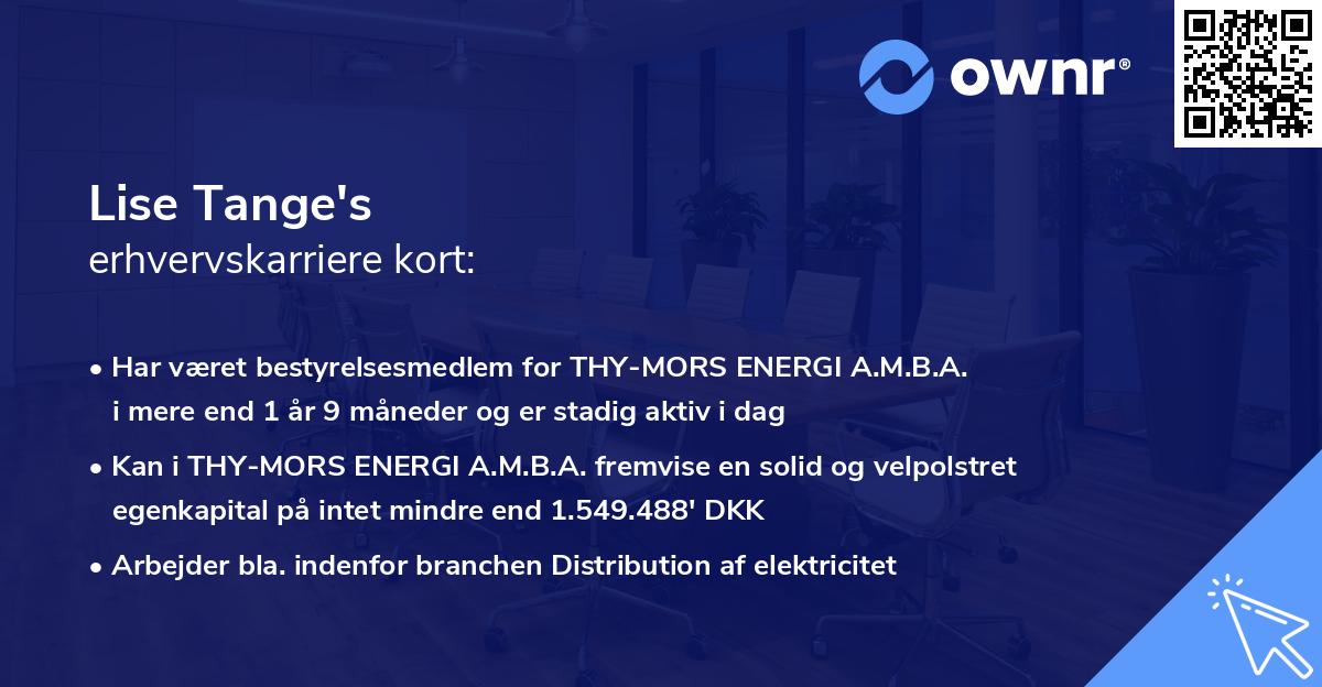 Lise Tange's erhvervskarriere kort