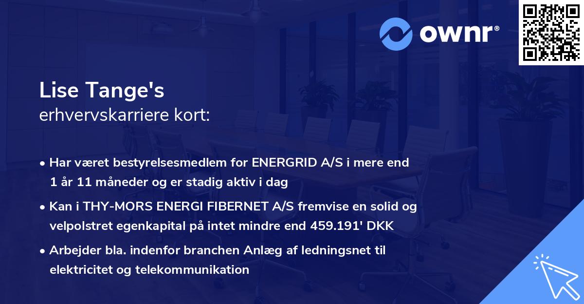 Lise Tange's erhvervskarriere kort