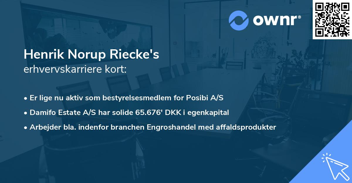 Henrik Norup Riecke's erhvervskarriere kort