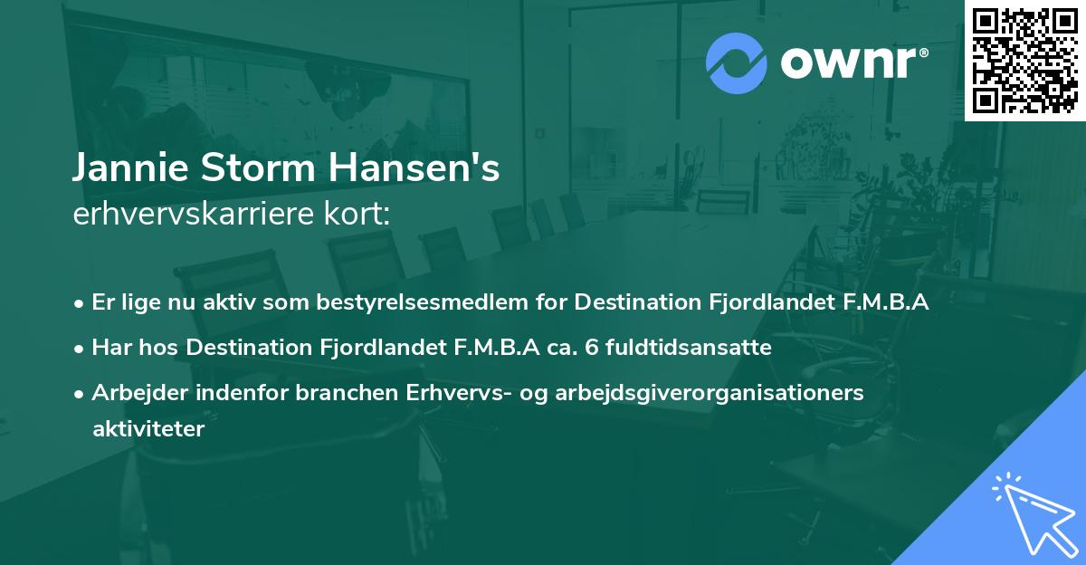 Jannie Storm Hansen's erhvervskarriere kort