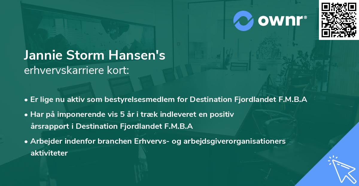 Jannie Storm Hansen's erhvervskarriere kort