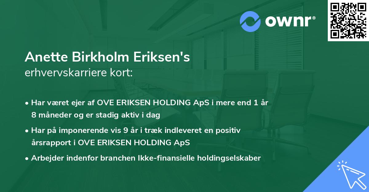 Anette Birkholm Eriksen's erhvervskarriere kort