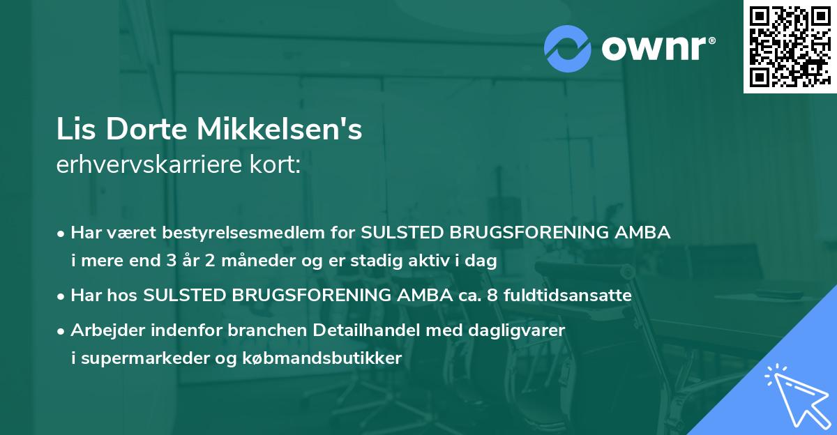 Lis Dorte Mikkelsen's erhvervskarriere kort