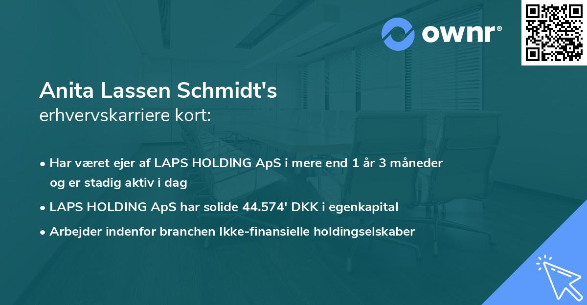 Anita Lassen Schmidt's erhvervskarriere kort
