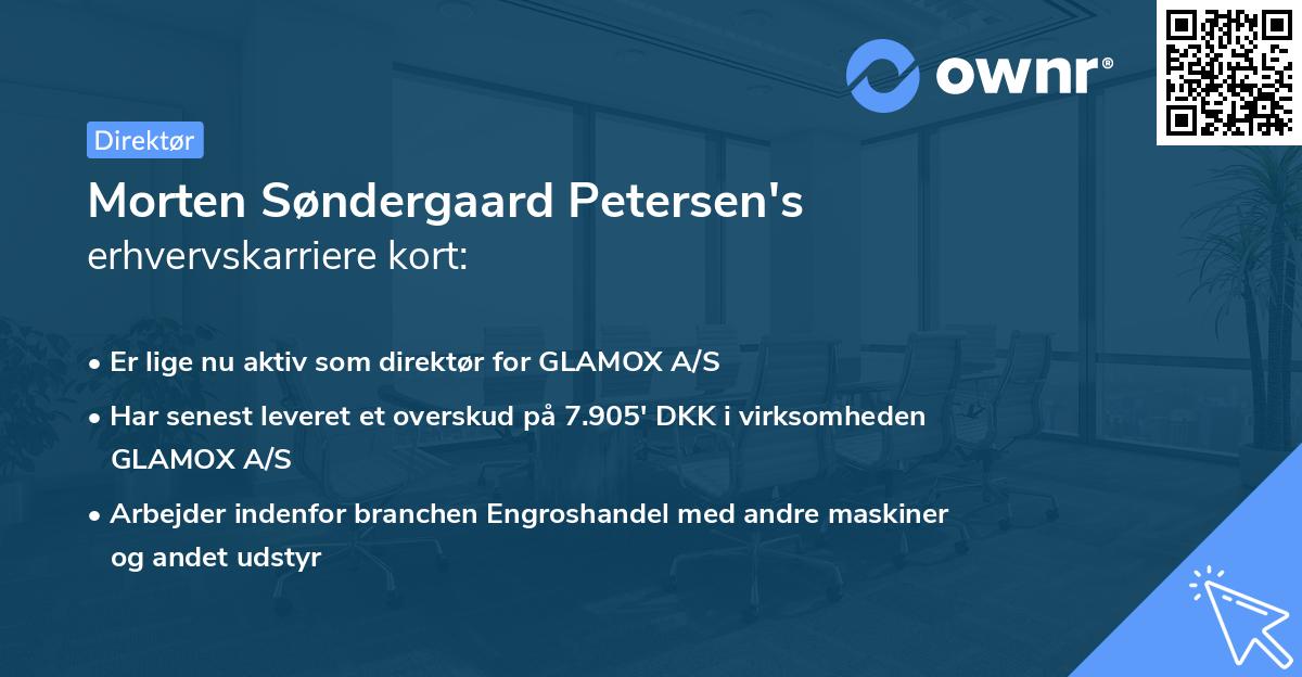 Morten Søndergaard Petersen's erhvervskarriere kort