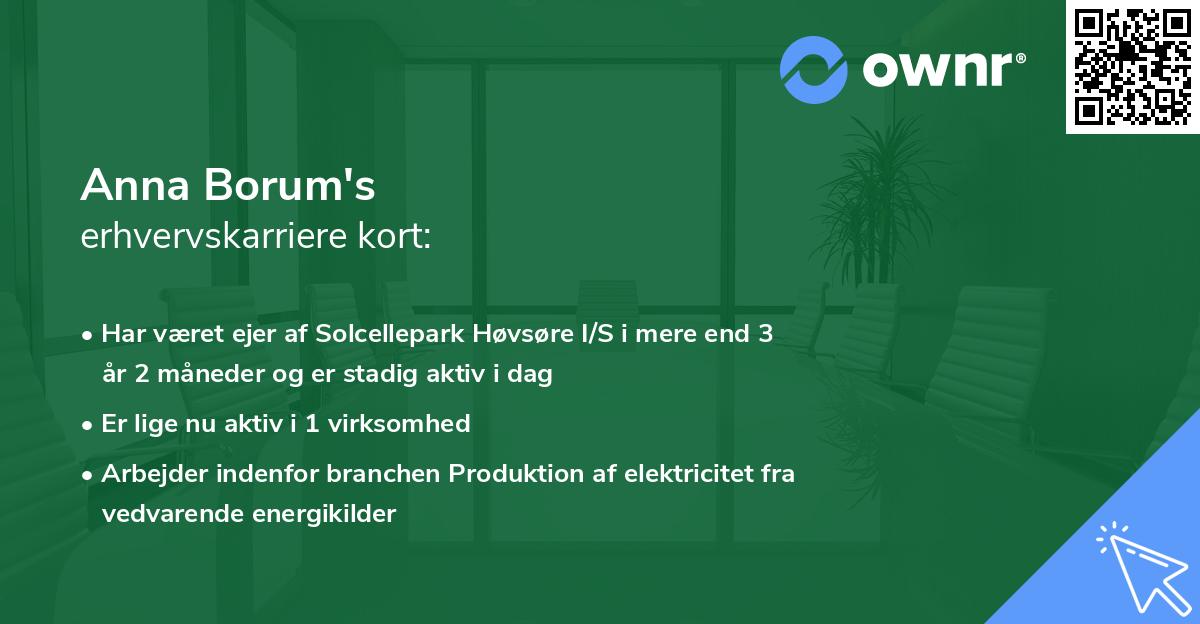 Anna Borum's erhvervskarriere kort