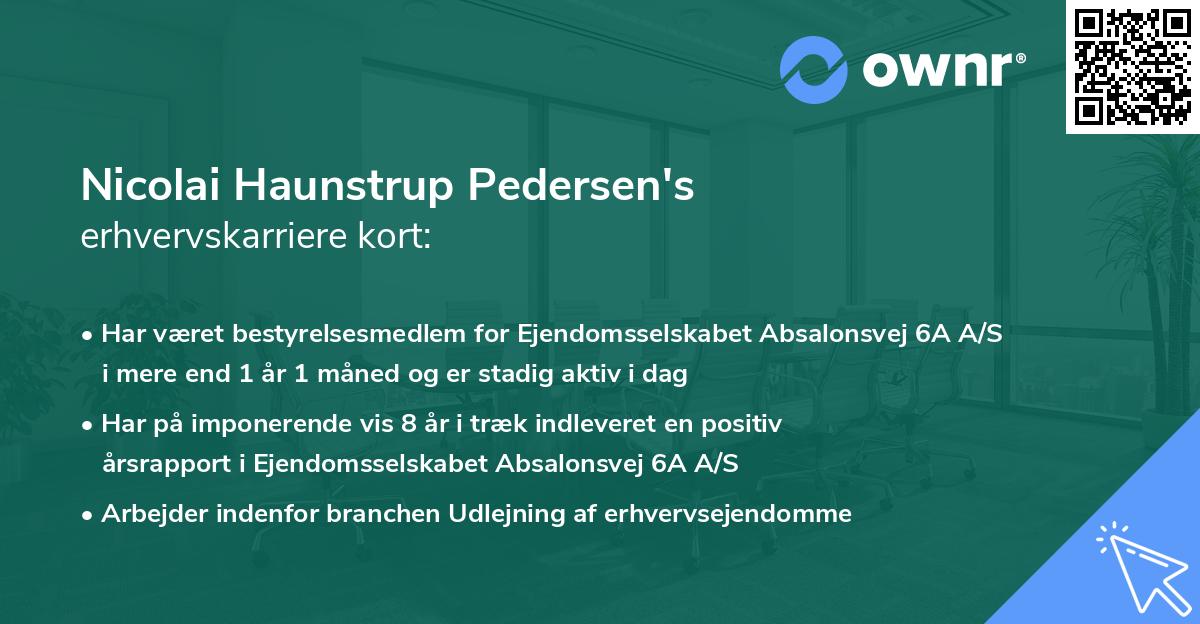 Nicolai Haunstrup Pedersen's erhvervskarriere kort