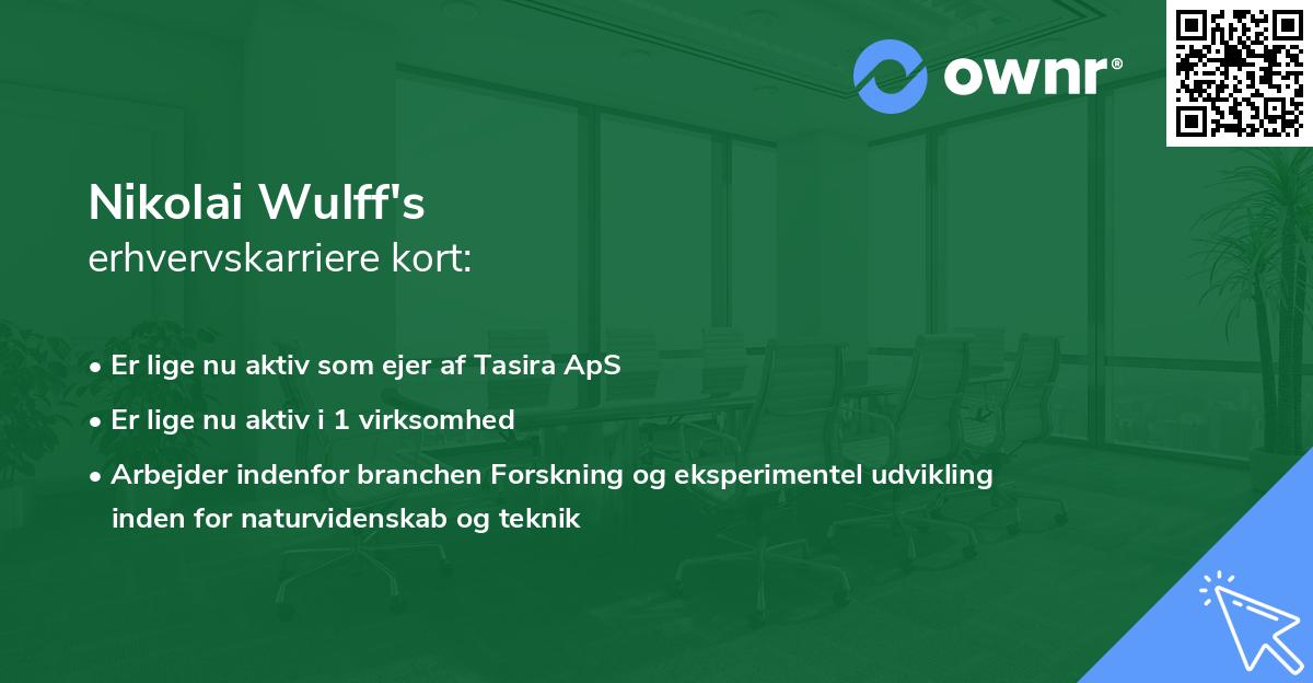 Nikolai Wulff's erhvervskarriere kort