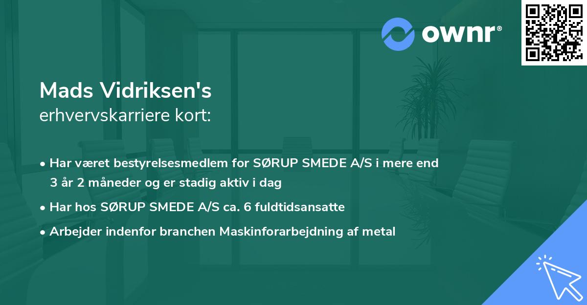 Mads Vidriksen's erhvervskarriere kort