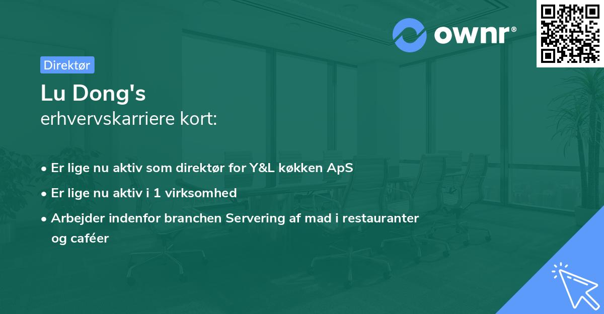 Lu Dong's erhvervskarriere kort