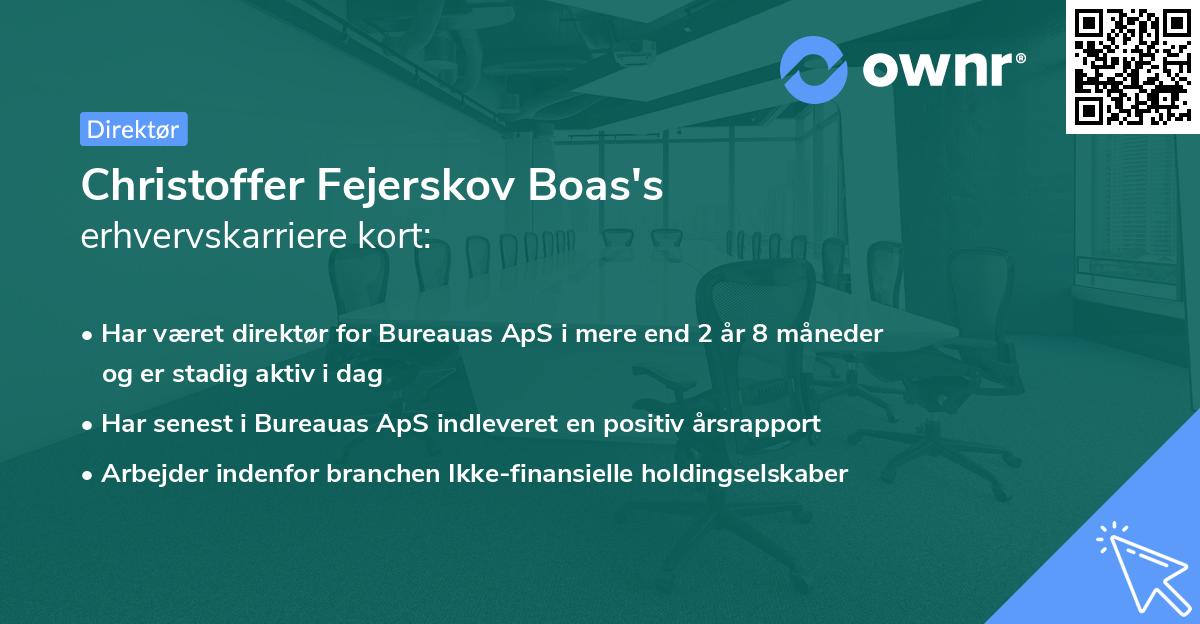 Christoffer Fejerskov Boas's erhvervskarriere kort