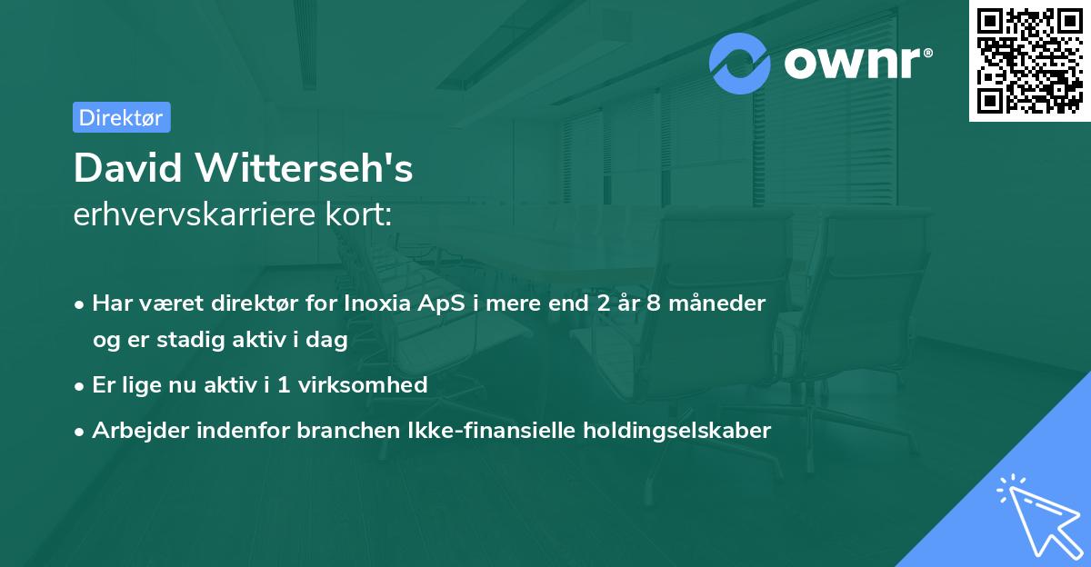David Witterseh's erhvervskarriere kort