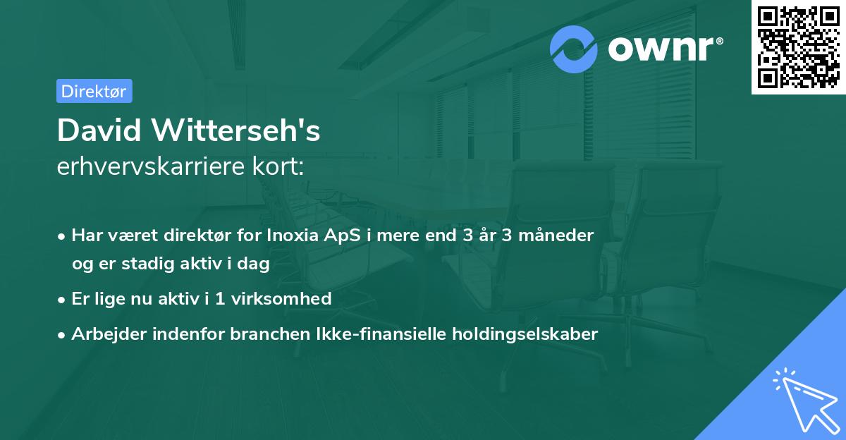 David Witterseh's erhvervskarriere kort