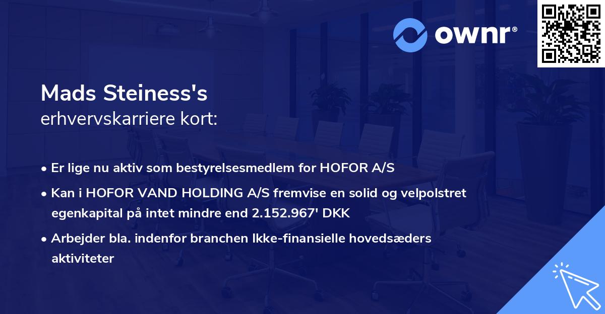 Mads Steiness's erhvervskarriere kort