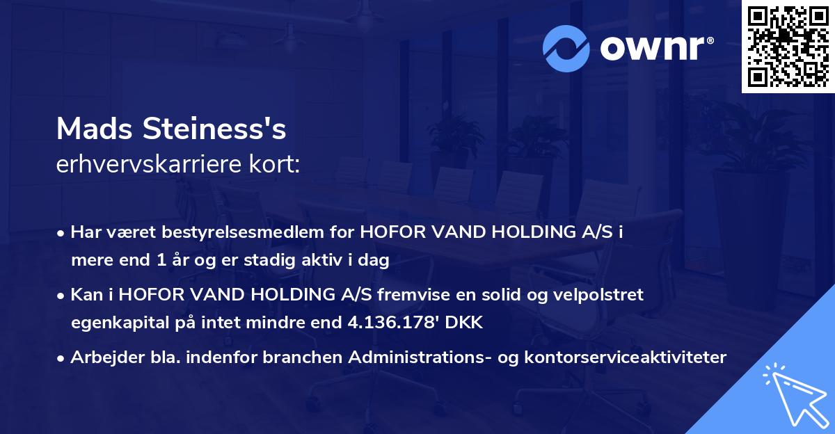Mads Steiness's erhvervskarriere kort