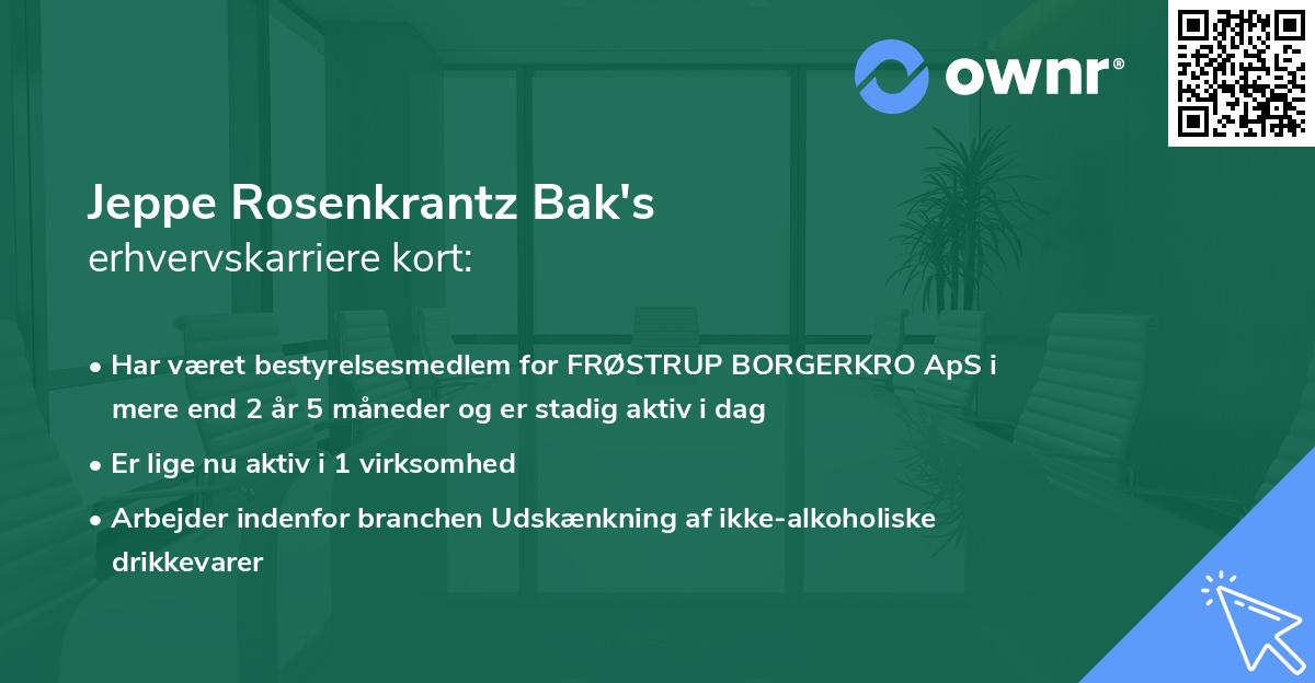 Jeppe Rosenkrantz Bak's erhvervskarriere kort