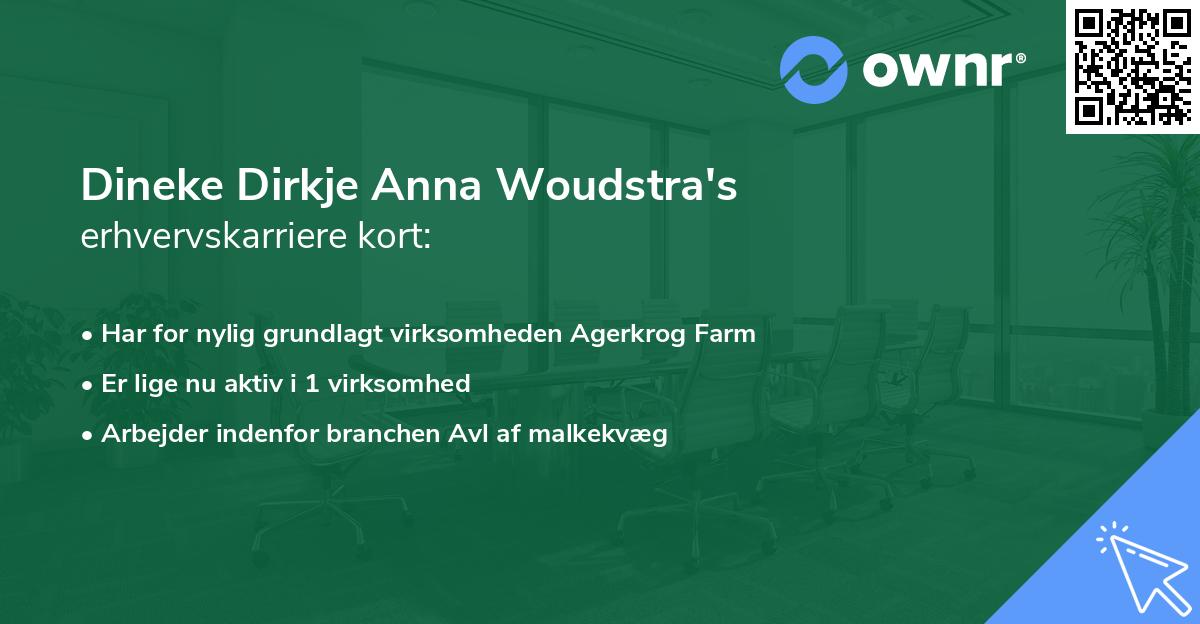 Dineke Dirkje Anna Woudstra's erhvervskarriere kort