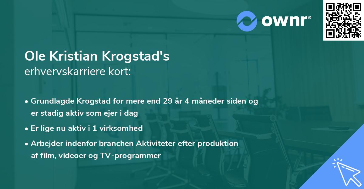 Ole Kristian Krogstad's erhvervskarriere kort