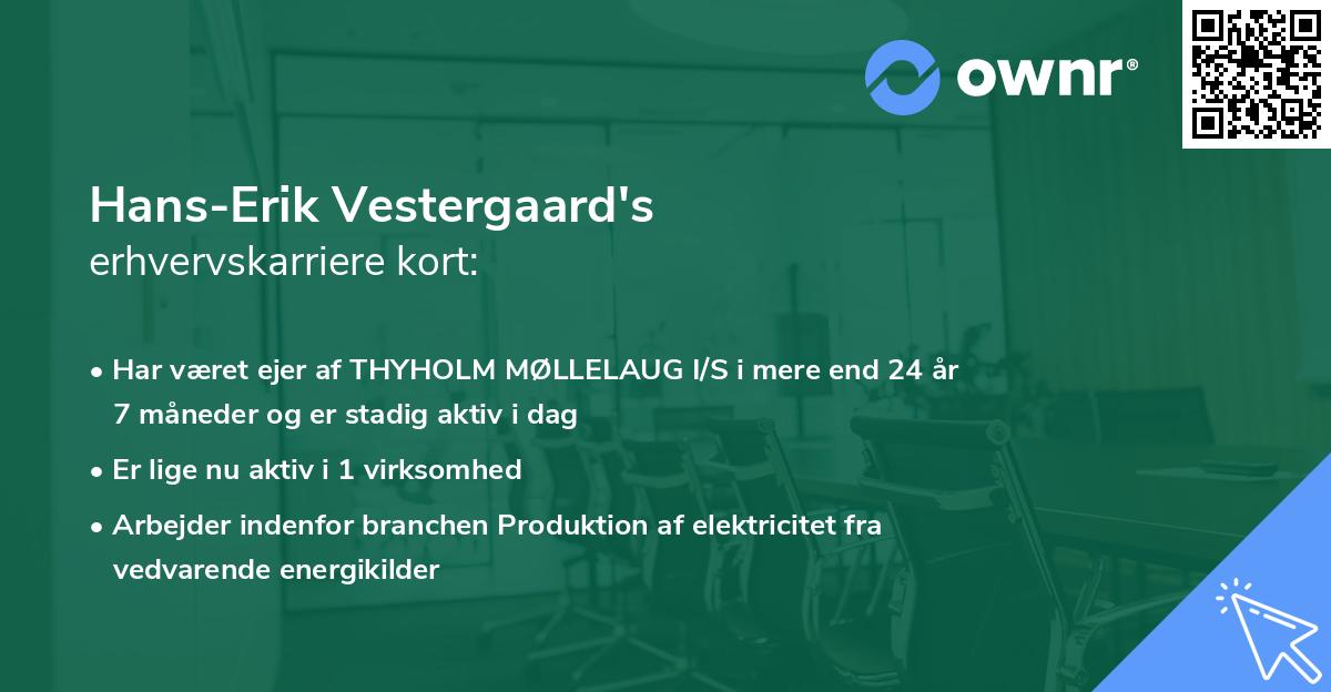 Hans-Erik Vestergaard's erhvervskarriere kort