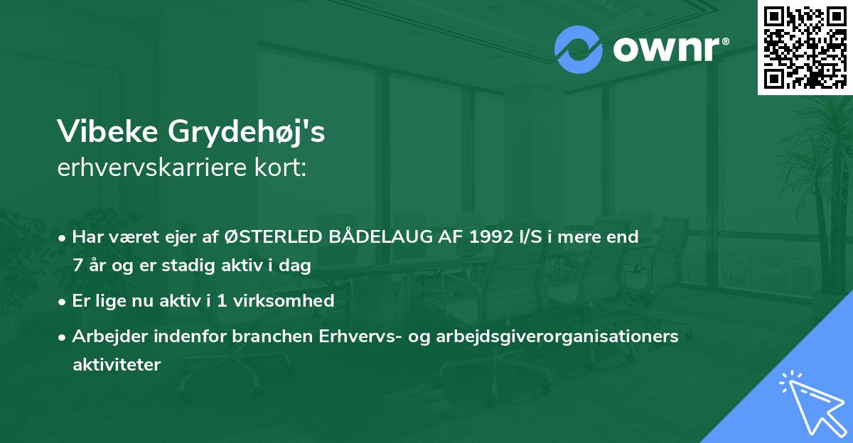 Vibeke Grydehøj's erhvervskarriere kort