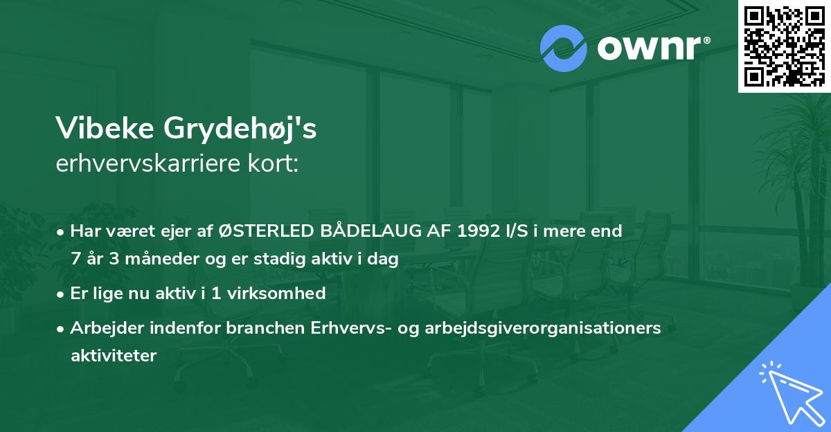 Vibeke Grydehøj's erhvervskarriere kort