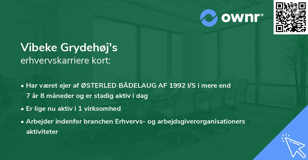 Vibeke Grydehøj's erhvervskarriere kort
