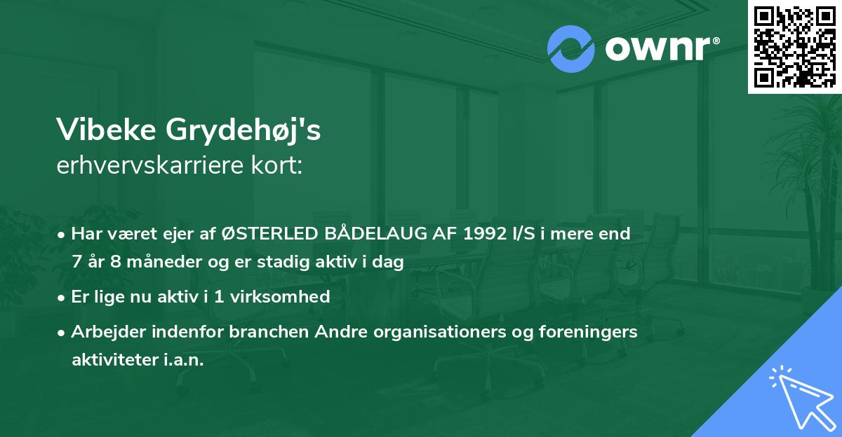 Vibeke Grydehøj's erhvervskarriere kort
