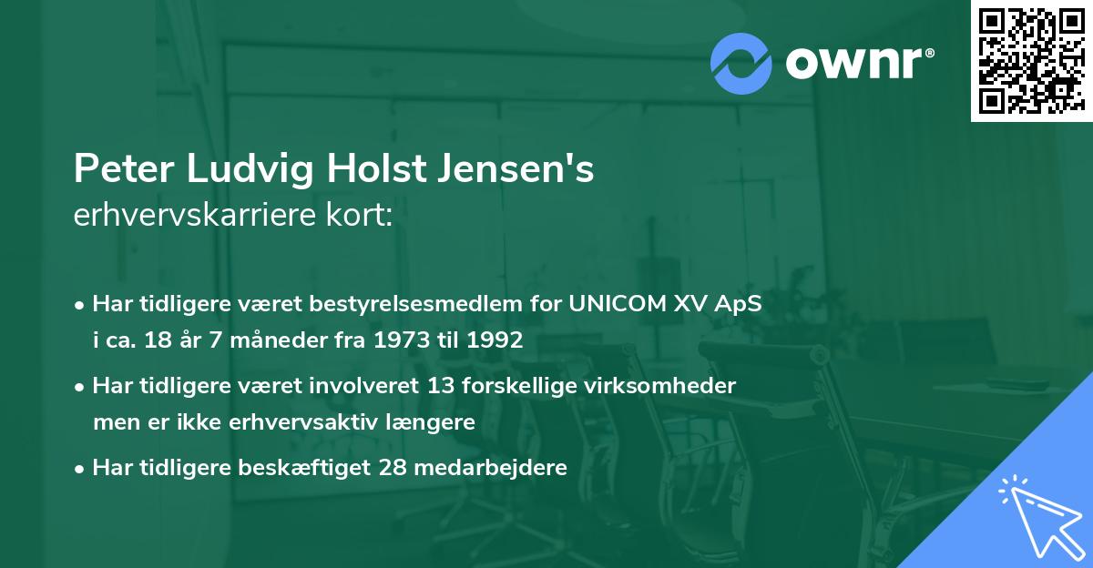 Peter Ludvig Holst Jensen's erhvervskarriere kort