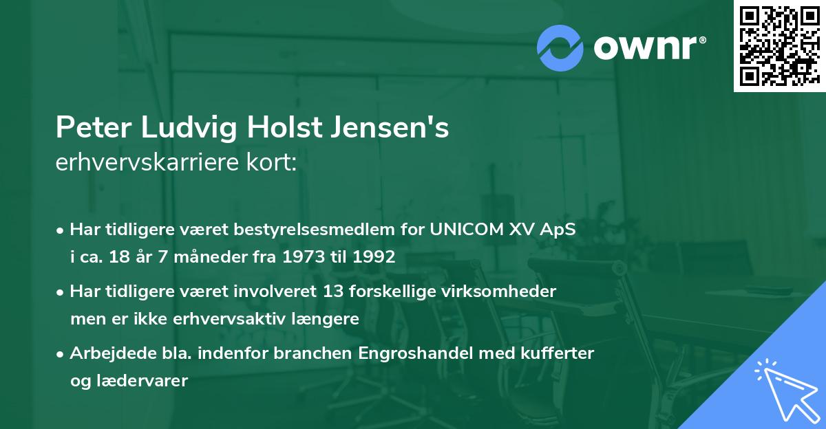 Peter Ludvig Holst Jensen's erhvervskarriere kort