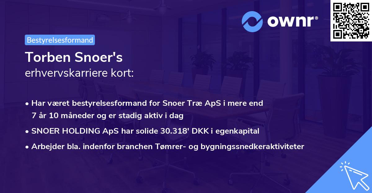 Torben Snoer's erhvervskarriere kort