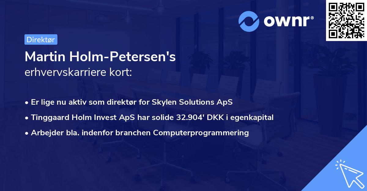 Martin Holm-Petersen's erhvervskarriere kort