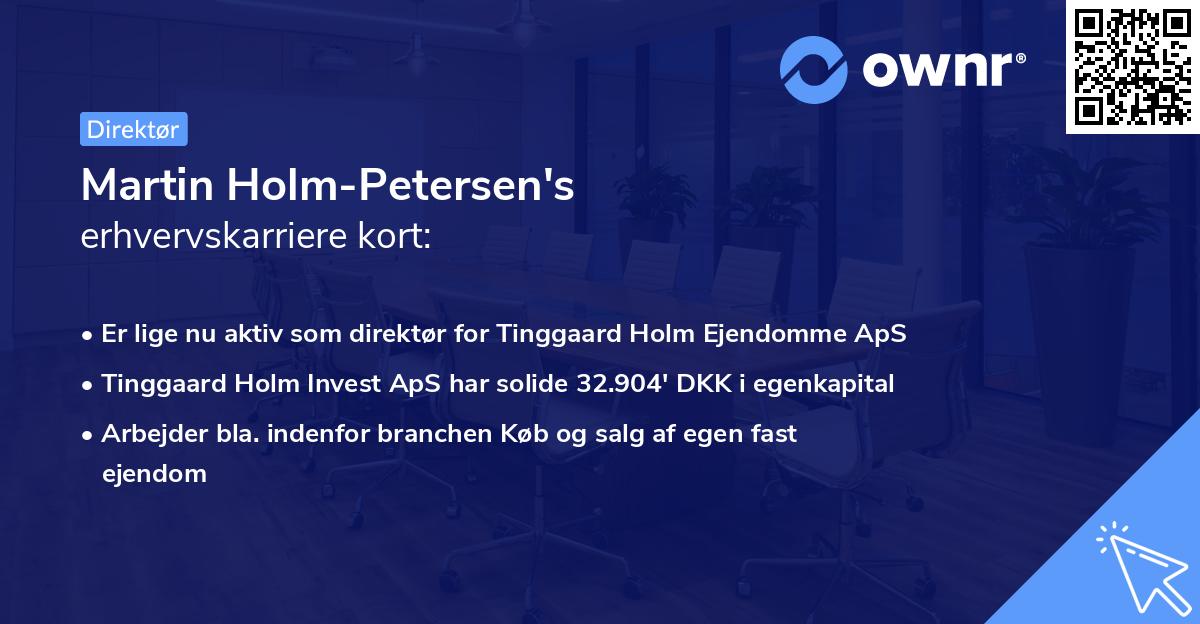 Martin Holm-Petersen's erhvervskarriere kort