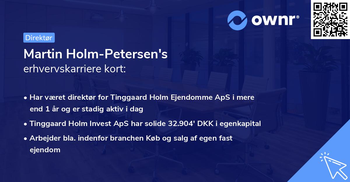 Martin Holm-Petersen's erhvervskarriere kort
