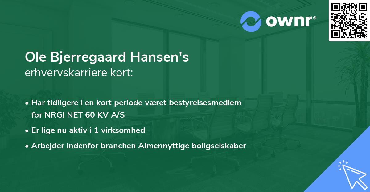 Ole Bjerregaard Hansen's erhvervskarriere kort