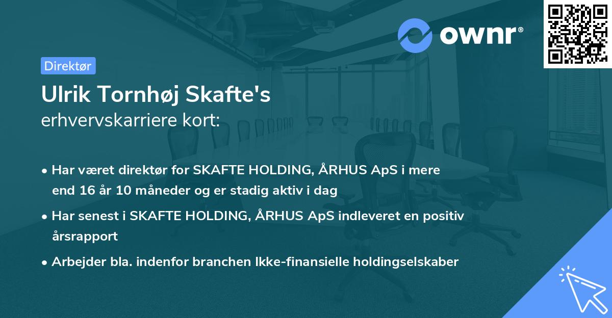 Ulrik Tornhøj Skafte's erhvervskarriere kort