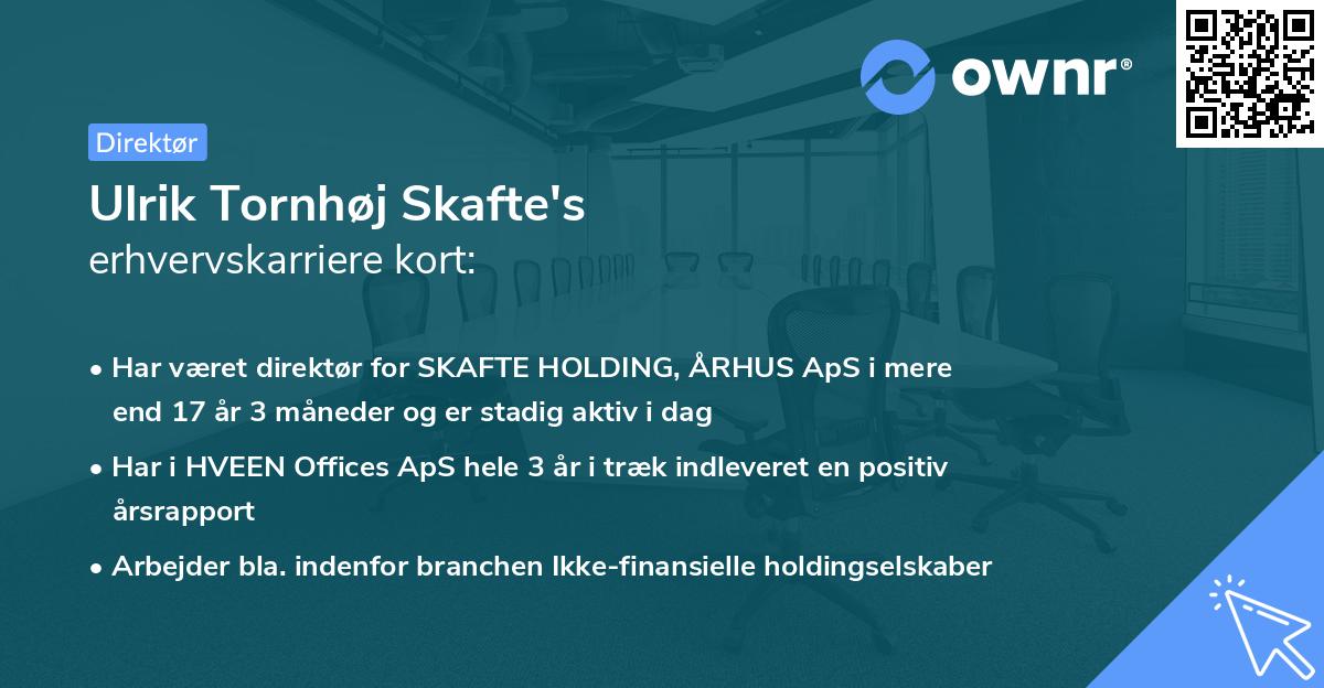 Ulrik Tornhøj Skafte's erhvervskarriere kort
