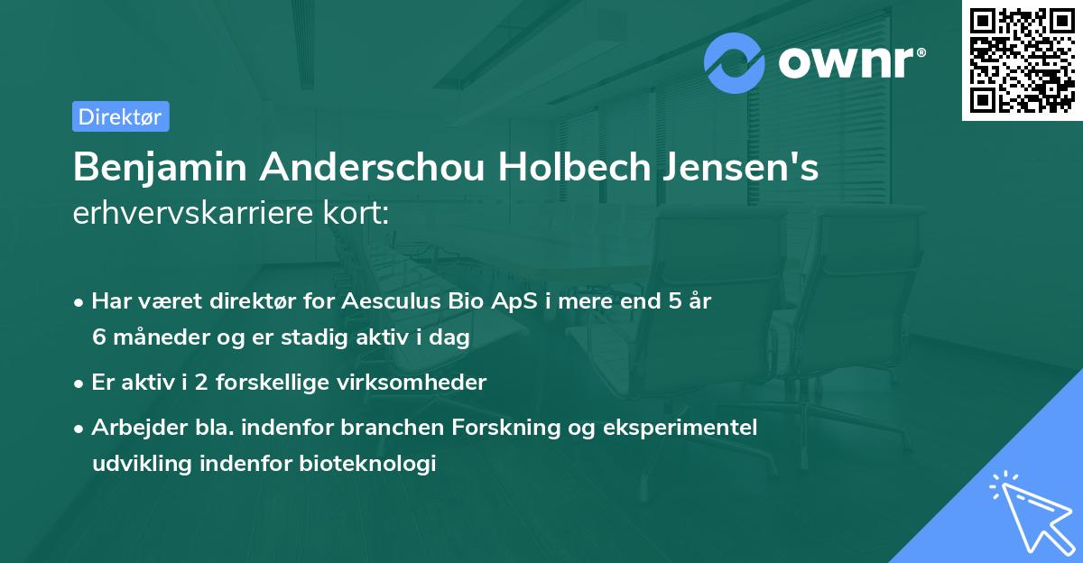 Benjamin Anderschou Holbech Jensen's erhvervskarriere kort