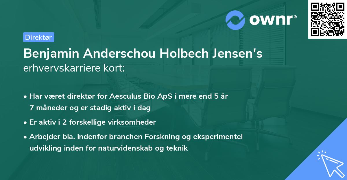 Benjamin Anderschou Holbech Jensen's erhvervskarriere kort